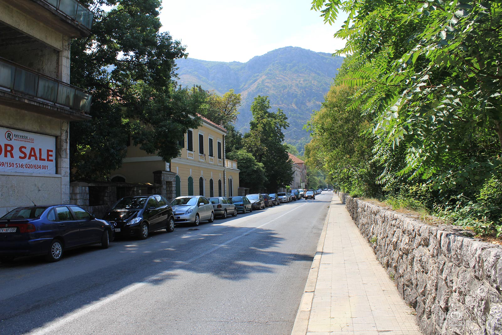 Kotor